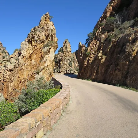 Fougere By Interhome * Partinello